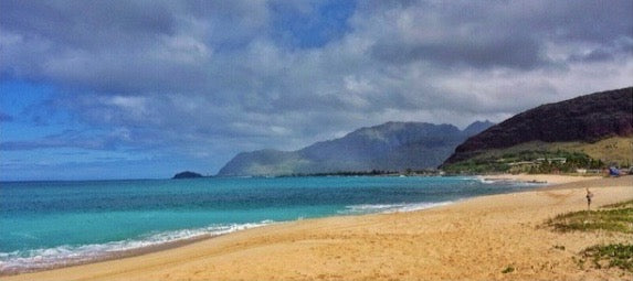 A Break in the Bananas: The Sunscreen Dilemma