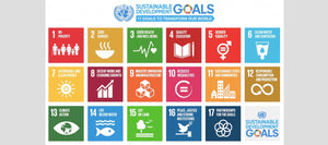 Green Banana Paper and UN Sustainable Development Goal 1