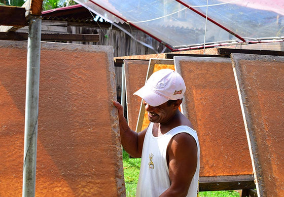 Our Materials - Banana Fiber Paper